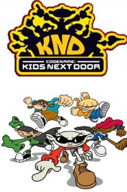 Codename: Kids Next Door Season 6