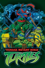 Teenage Mutant Ninja Turtles 2003 Season 1