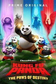 Kung Fu Panda: The Paws of Destiny Season 2