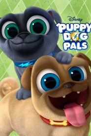 Puppy Dog Pals Season 3