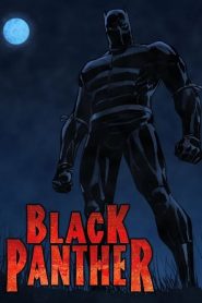 Black Panther Series